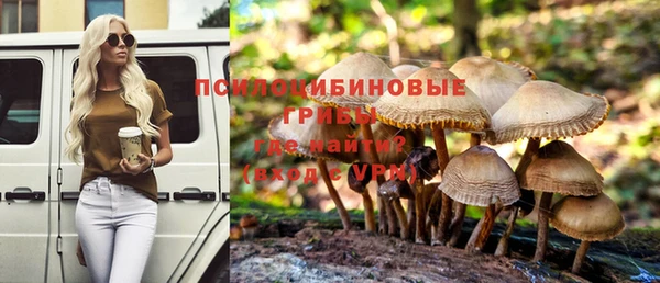 ешки Верхний Тагил