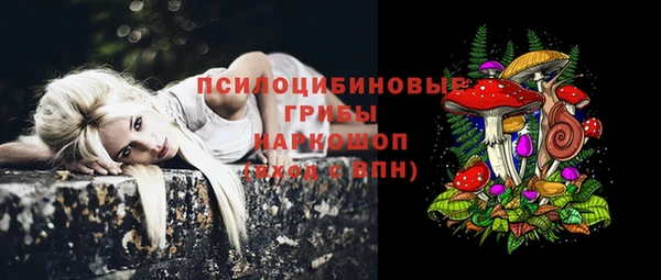 спайс Верея