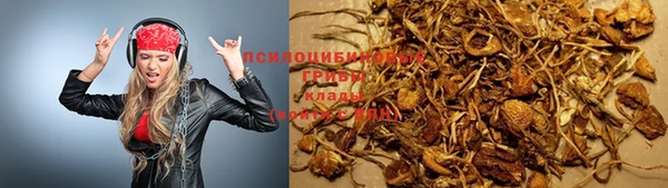 ешки Верхний Тагил