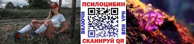 Галлюциногенные грибы Cubensis  Купить  Сураж 